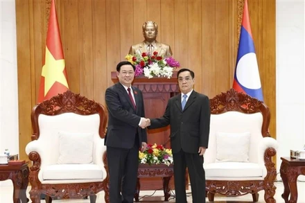 Chủ tịch Quốc hội Vương Đình Huệ gặp ông Thongsing Thammavong, nguyên Thủ tướng, nguyên Chủ tịch Quốc hội Lào. (Ảnh: Doãn Tấn/TTXVN)