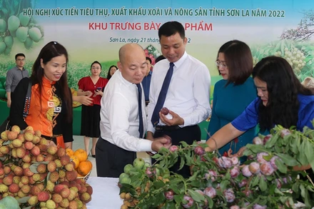 Các đại biểu tham quan gian trưng bày sản phẩm nông sản tỉnh Sơn La.