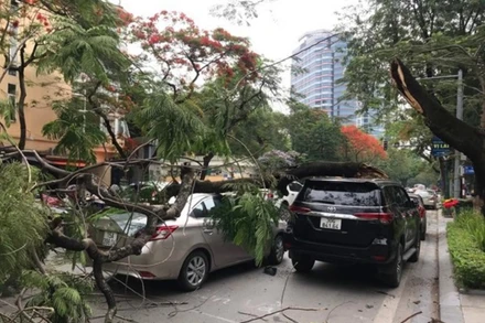 Hiện trường vụ việc. (Nguồn: anninhthudo.vn)