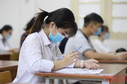 Ảnh minh họa. (Ảnh: SƠN BÁCH) 