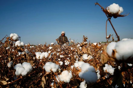 Ảnh minh họa. (Nguồn: Reuters)