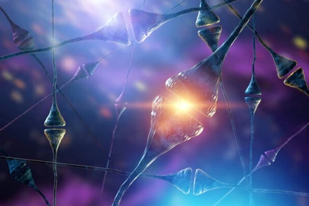 Ảnh minh họa. (Nguồn: Getty Images)