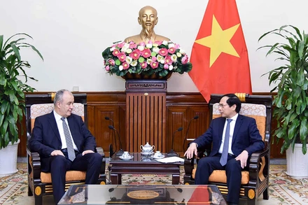 Bộ trưởng Ngoại giao Bùi Thanh Sơn tiếp ông Chakib Rachid Kaïd, Tổng Thư ký Bộ Ngoại giao và Cộng đồng người Algeria ở nước ngoài. (Ảnh: Báo điện tử Đảng Cộng sản Việt Nam)