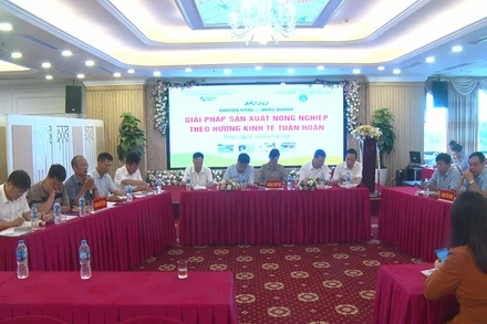 Các đại biểu tham gia diễn đàn.