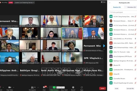 Lễ kỷ niệm Ngày Quốc tế Phật Đản VESAK được tổ chức theo hình thức trực tuyến. (Ảnh: TTXVN)