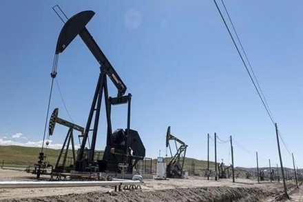 Một cơ sở khai thác dầu tại Iran. (Ảnh: IRNA/TTXVN)