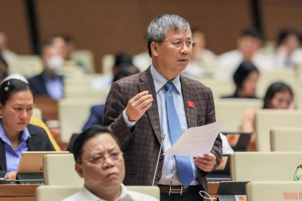 Đại biểu Nguyễn Anh Trí (Hà Nội) phát biểu thảo luận tại hội trường. (Ảnh: DUY LINH)