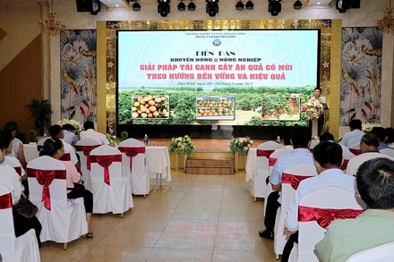 Diễn đàn thu hút đông đảo nông dân tiêu biểu từ các huyện tham gia.