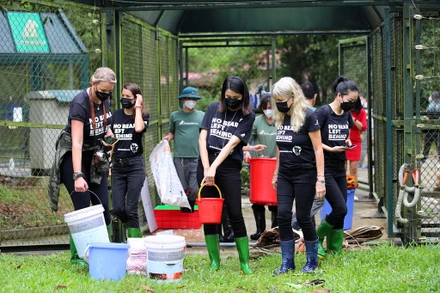 Các nghệ sĩ nổi tiếng trải nghiệm công việc chăm sóc gấu tại Vườn quốc gia Tam Đảo.