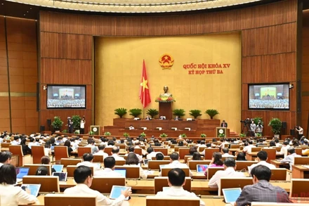 Các đại biểu Quốc hội dự phiên họp tại Hội trường Diên Hồng sáng 26/5. (Ảnh: KHOA LINH)