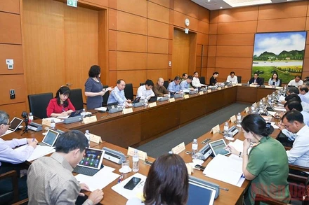 Quang cảnh phiên thảo luận tại Tổ 4 sáng 25/5. (Ảnh: LINH KHOA)