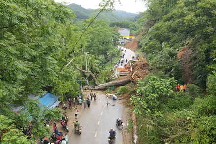 Một gốc cây bị bật gốc, đổ chắn ngang gây tắc đường 258 từ huyện Bạch Thông đi huyện Ba Bể.