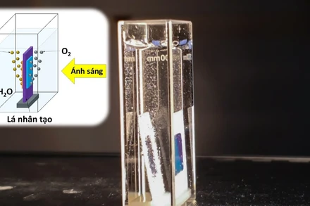 “Lá nhân tạo” do nhóm nghiên cứu tại USTH chế tạo.
