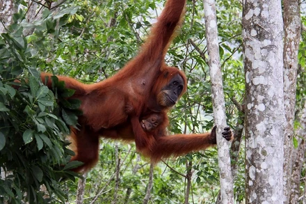 Những bức ảnh ấn tượng về động vật hoang dã trong tuần