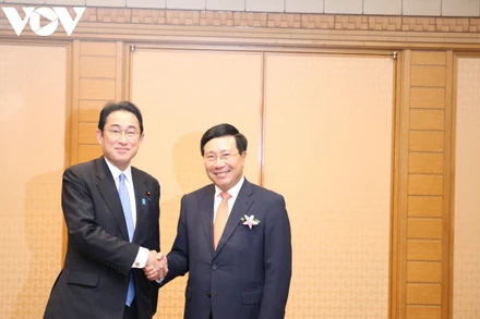 Phó Thủ tướng Phạm Bình Minh chào xã giao Thủ tướng Kishida (Ảnh: VOV)