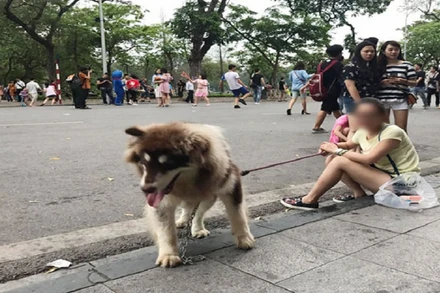 Việc ban hành Quy chế sẽ ngăn chặn hành vi đem súc vật vào phố đi bộ, gây nguy hiểm cho cộng đồng.