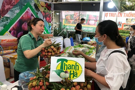 Người tiêu dùng Thủ đô tìm mua các loại trái cây, nông sản đặc sản của các tỉnh, thành phố tại Tuần hàng.