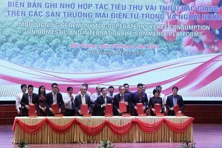 Ký kết hợp tác tiêu thụ vải thiều năm 2022.