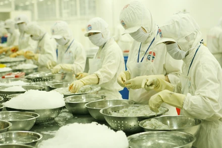 Thủy sản là một trong những mặt hàng đạt giá trị xuất khẩu cao trong 4 tháng đầu năm 2022. Ảnh: TRẦN TUẤN