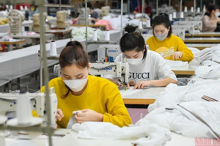 Ảnh: Thành Đạt