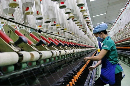 Doanh nghiệp tìm nguồn thay thế trước sự gián đoạn nguyên liệu từ Trung Quốc.