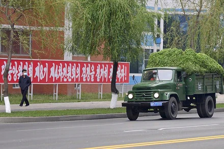 Xe chở rau phân phối cho các hộ gia đình đang chạy dọc theo một tuyến phố ở Bình Nhưỡng, ngày 16/5. (Ảnh: Kyodo)