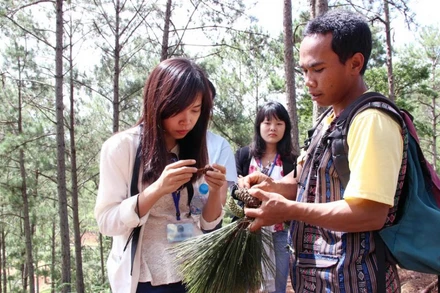 Du khách trải nghiệm tour du lịch qua những cánh rừng tại Lâm Đồng.