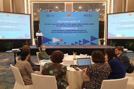 Các đại biểu tham gia thảo luận tại hội thảo.