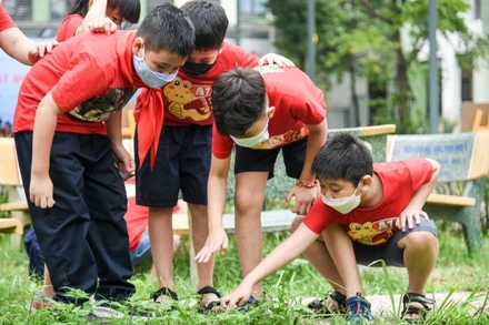 Các thí sinh nhỏ tuổi góp mặt tại buổi lễ.