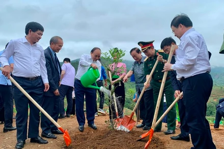Chủ tịch nước Nguyễn Xuân Phúc tham gia trồng vườn cây mắc-ca tại xã Nà Nhạn (TP Điện Biên Phủ, tỉnh Điện Biên).