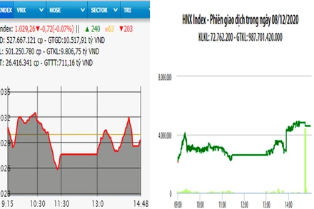 Diễn biến VN-Index và HNX-Index, phiên giao dịch ngày 8-12. 