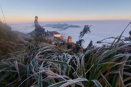 Sương muối phủ trắng núi rừng Phan Xi Păng (Sa Pa).