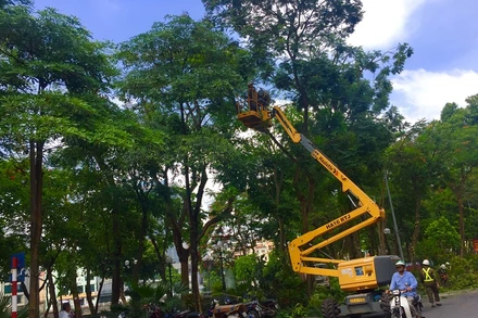 Công ty Công viên Cây xanh Hà Nội cắt tỉa cây xanh đề phòng gãy đổ.