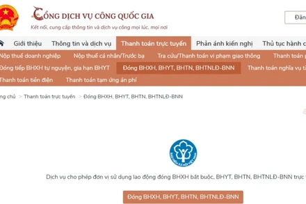 Cổng Dịch vụ công Quốc gia. (Ảnh chụp màn hình)