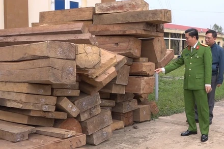 Công an Quảng Bình thu giữ 30m3 gỗ bị các đối tượng khai thác trái phép.