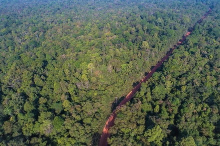 Vườn Quốc gia Lò Gò Xa Mát nhìn từ trên cao. 