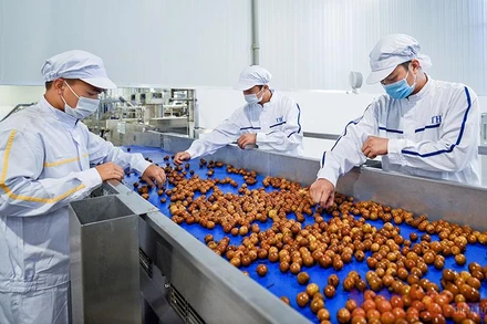 Ảnh minh họa: Ðình Ðức