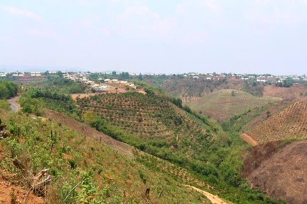 Khu tái định cư Đắk Plao được thực hiện trên một sườn núi cao với chung quanh là những khe suối sâu và đồi núi dốc đứng, đất đai cằn cỗi.