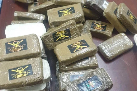 Số ma túy là cần sa ép thành bánh bị thu giữ ( ảnh Công an Hải Phòng cung cấp)