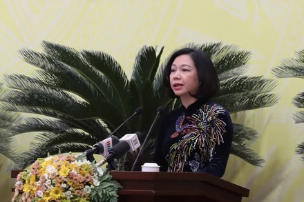 Giám đốc Sở Nội vụ Vũ Thu Hà trình bày Tờ trình tại kỳ họp.