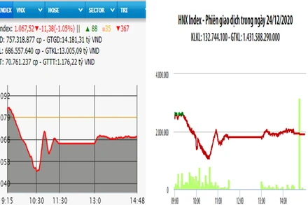 Diễn biến VN-Index và HNX-Index, phiên giao dịch ngày 24-12. 