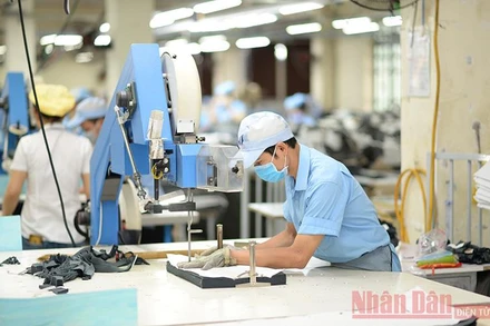 Ngành dệt may đã có một năm “vượt bão” thành công.