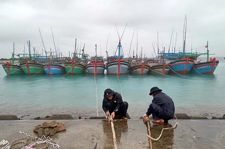 Cán bộ, nhân viên Trung tâm dịch vụ hậu cần - kỹ thuật đảo Sinh Tồn hỗ trợ ngư dân neo đậu tàu. Ảnh: ÐÌNH HOÀNG