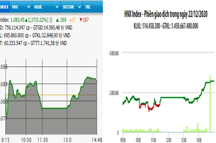 Diễn biến VN-Index và HNX-Index phiên giao dịch ngày 22-12. 