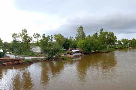 Vùng ven biển U Minh (Cà Mau), nơi bé gái 11 tuổi tình nghi bị nhiều người xâm hại. 