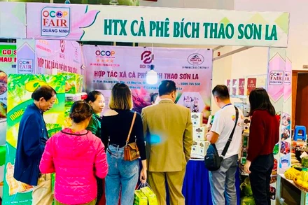 Có nhiều các doanh nghiệp, HTX của các tỉnh, thành phố phía bắc tham gia hội chợ 