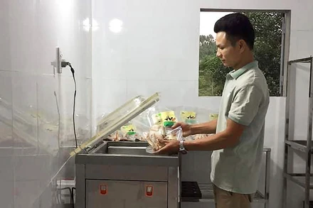 Nguyễn Văn Nhị miệt mài trong "phòng nghiên cứu", theo đuổi khát vọng làm giàu chính đáng với thực phẩm sạch.
