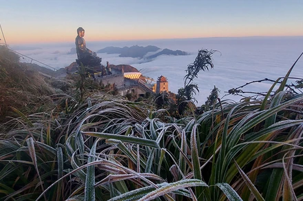 Sương muối phủ trắng núi rừng Phan Xi Păng (Sa Pa) ngày 21-12 vừa qua (Ảnh: Quốc Hồng)