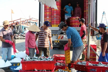 Giá trị khai thác hải sản của ngư dân tăng theo từng năm.