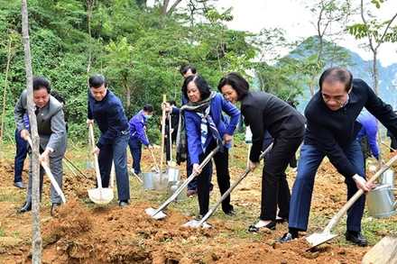 Đồng chí Trương Thị Mai, Ủy viên Bộ Chính trị, Bí thư T.Ư Đảng, Trưởng Ban Dân vận T.Ư cùng các đại biểu trồng cây lưu niệm trong quần thể Khu di tích lịch sử Quốc gia đặc biệt Tân Trào. 